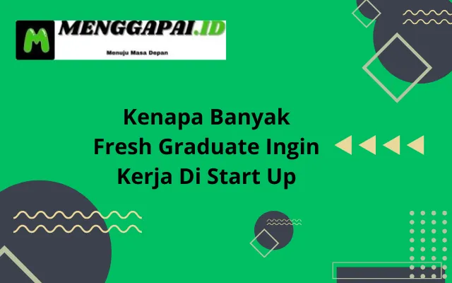 Kenapa Banyak Fresh Graduate Ingin Kerja Di Start Up